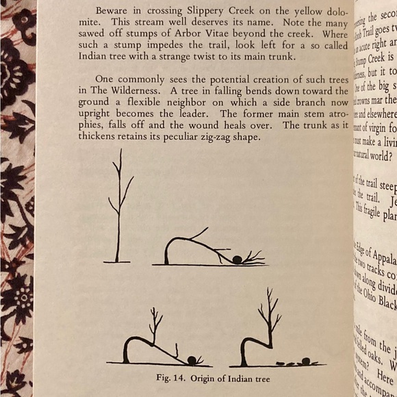 The Wilderness Charles A Eulett Preserve Cincinnati Museum of Natural History OH - Picture 5 of 8